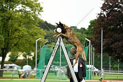 Zack vom Further Moor