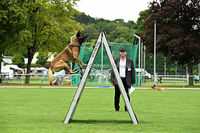 Zack vom Further Moor