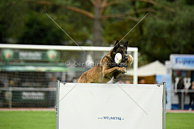 Zack vom Further Moor