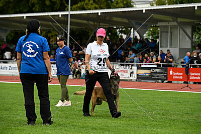 Zack vom Further Moor