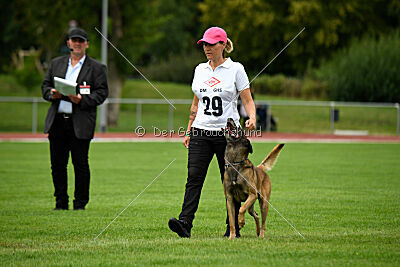 Zack vom Further Moor