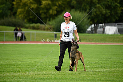 Zack vom Further Moor