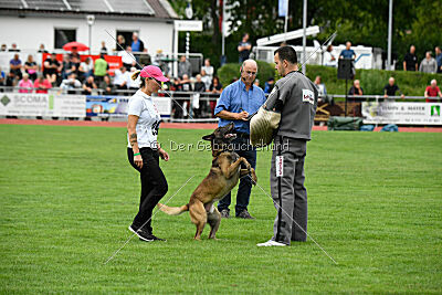 Zack vom Further Moor