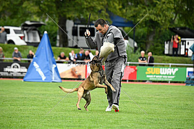 Zack vom Further Moor