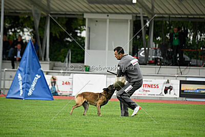 Zack vom Further Moor