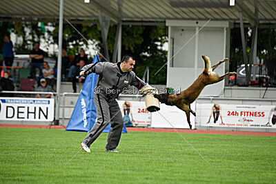 Zack vom Further Moor