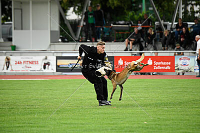 Zack vom Further Moor