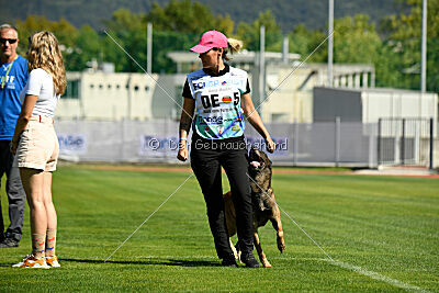 Zack vom Further Moor