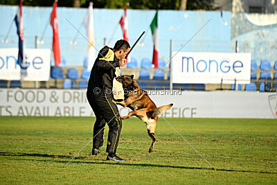 Zack vom Further Moor