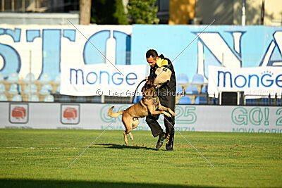 Zack vom Further Moor