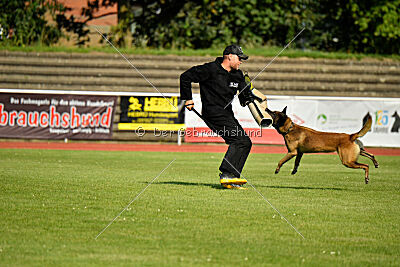 Zack vom Further Moor