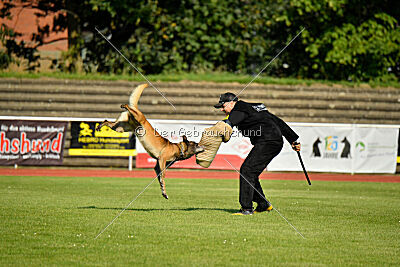 Zack vom Further Moor