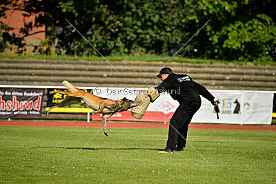 Zack vom Further Moor