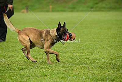 Zack vom Further Moor