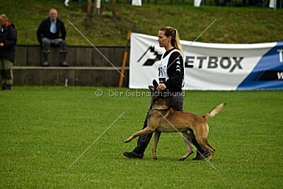Zack vom Further Moor