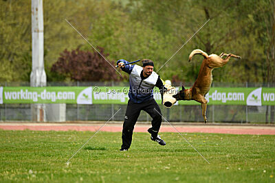 Zack vom Further Moor