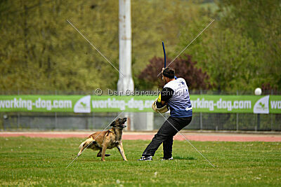 Zack vom Further Moor