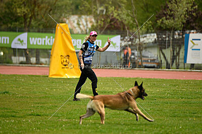 Zack vom Further Moor