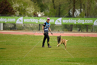 Zack vom Further Moor