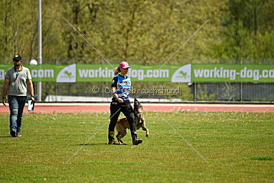 Zack vom Further Moor