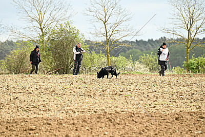 Zara van den Ronden Hoek