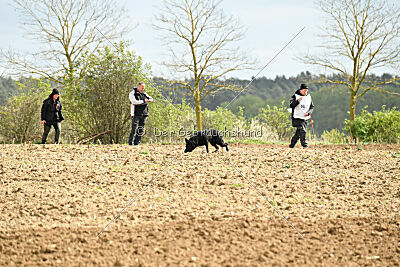 Zara van den Ronden Hoek