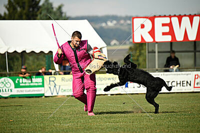 Zara vom Goldbergsee