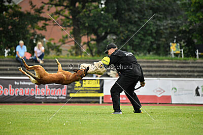 Zauberlehrling von der Steinteichmühle