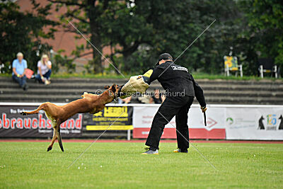 Zauberlehrling von der Steinteichmühle