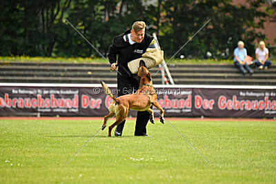 Zauberlehrling von der Steinteichmühle
