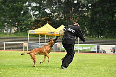 Zauberlehrling von der Steinteichmühle