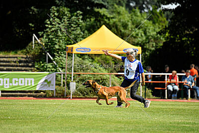 Zauberlehrling von der Steinteichmühle