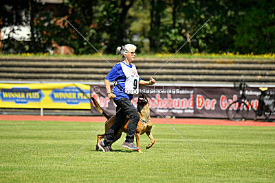 Zauberlehrling von der Steinteichmühle