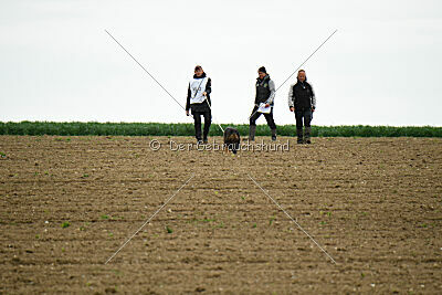 Zazoe van Kleyn Hammer