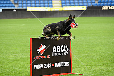 Zemelya iz Vorta Wernogo