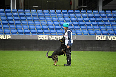 Zemelya iz Vorta Wernogo