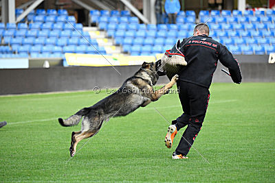 Zeus vom Schloss Solitude