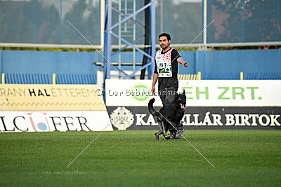 Zidan Orrylordblack
