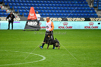 Zigo van de Zeelberg