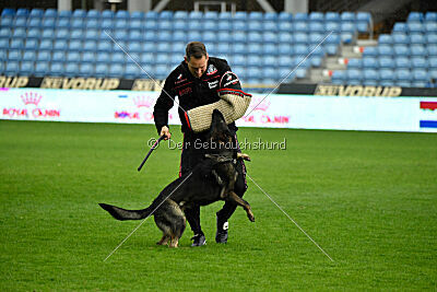 Zigo van de Zeelberg