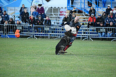 Zigo van de Zeelberg