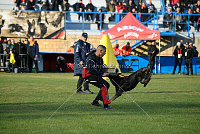 Zigo van de Zeelberg