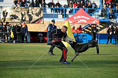 Zigo van de Zeelberg