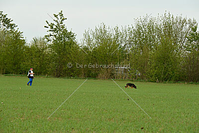 Zoe vom Prälatenwald