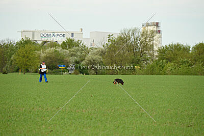 Zoe vom Prälatenwald