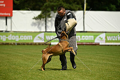 ne pas toucher Aaron