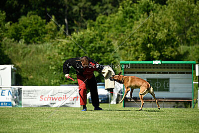 ne pas toucher Aaron