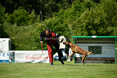 ne pas toucher Aaron