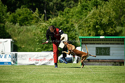 ne pas toucher Aaron