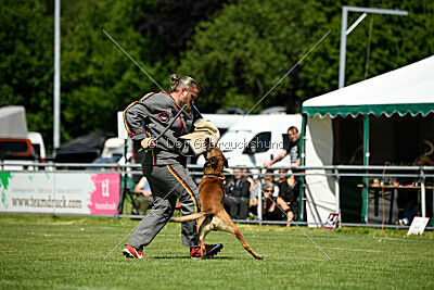 ne pas toucher Aaron